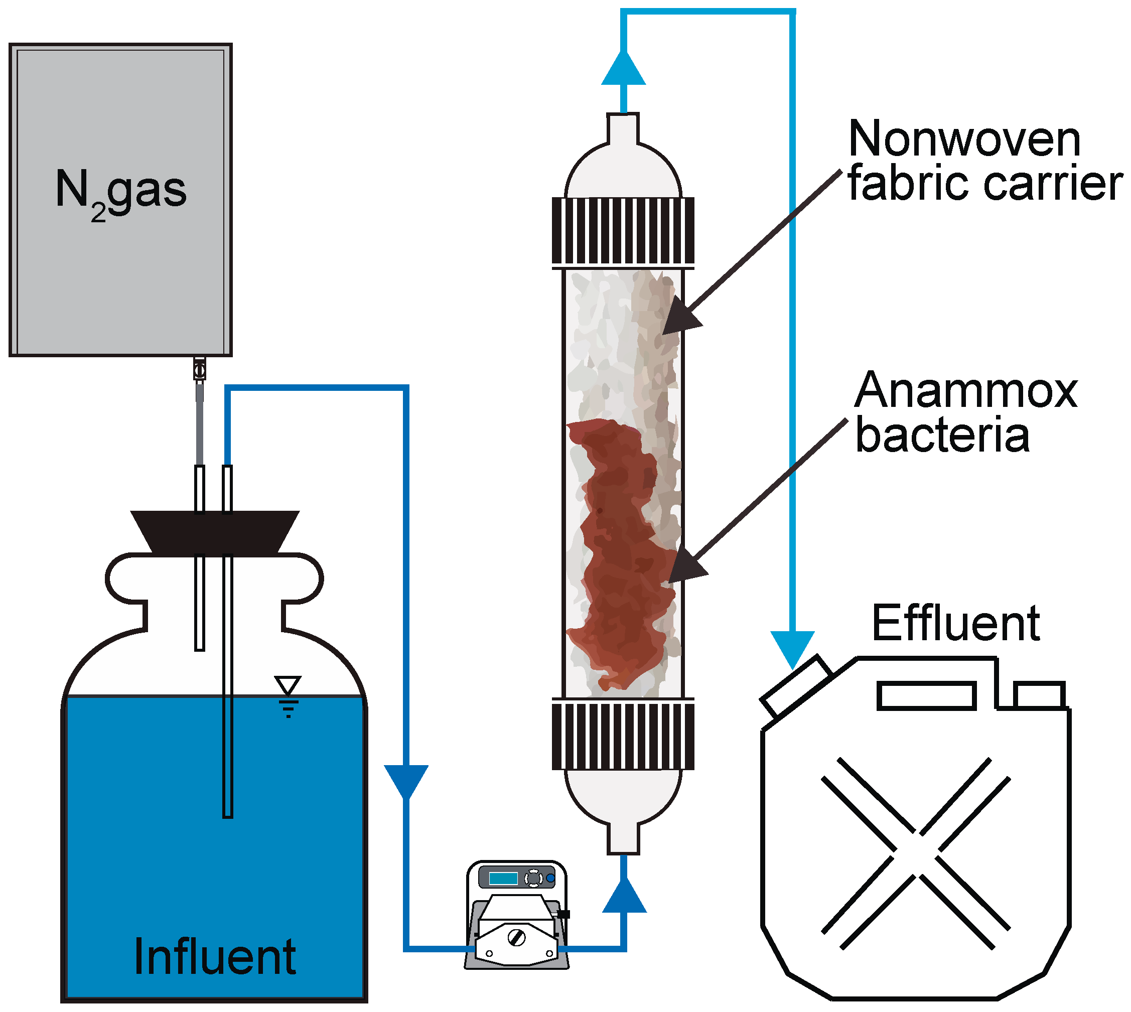 Tolerance of the Marine Anammox Candidatus Scalindua to High Nitrate ...