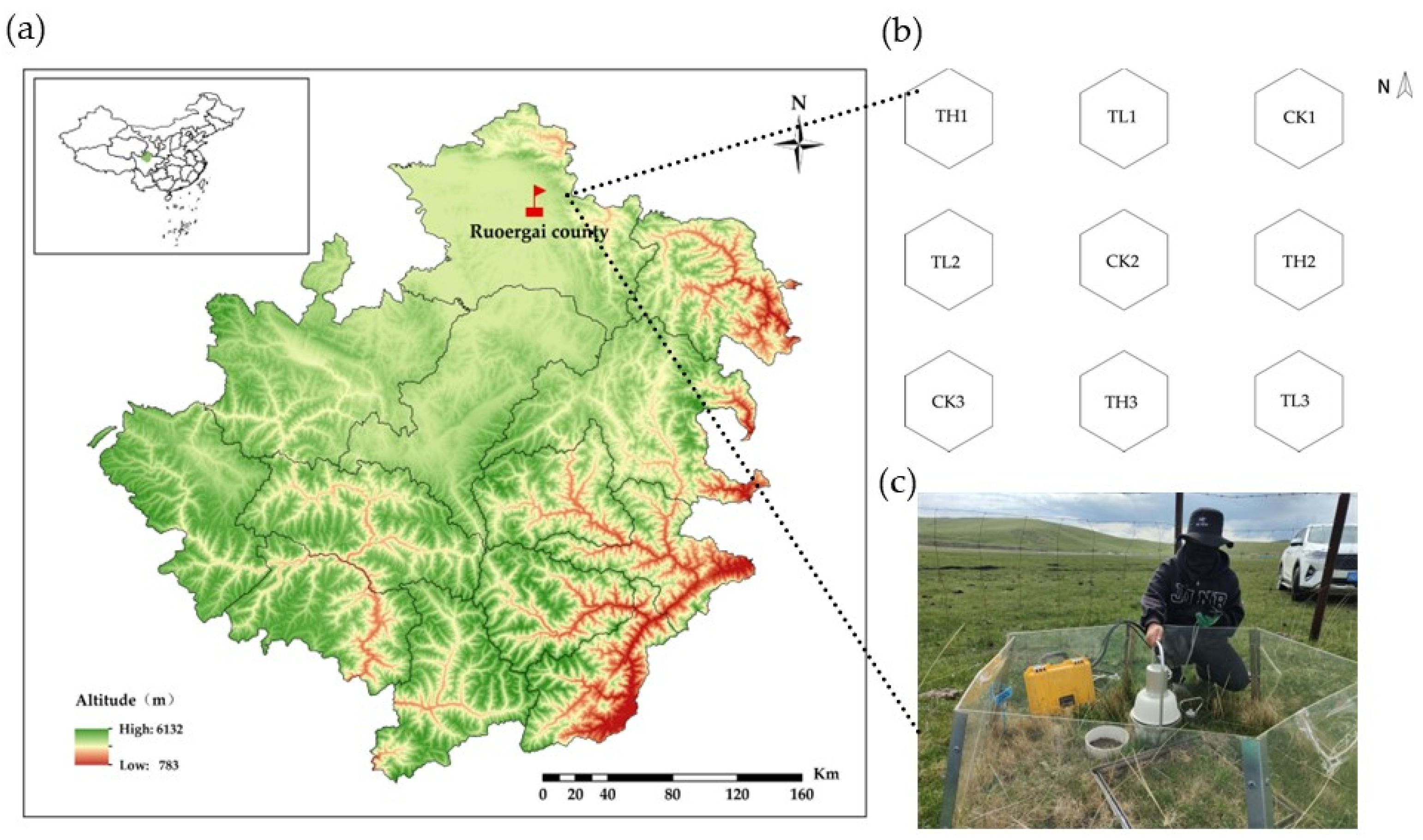 Effects of Gradient Warming on Carbon and Water Fluxes in Zoige Plateau ...