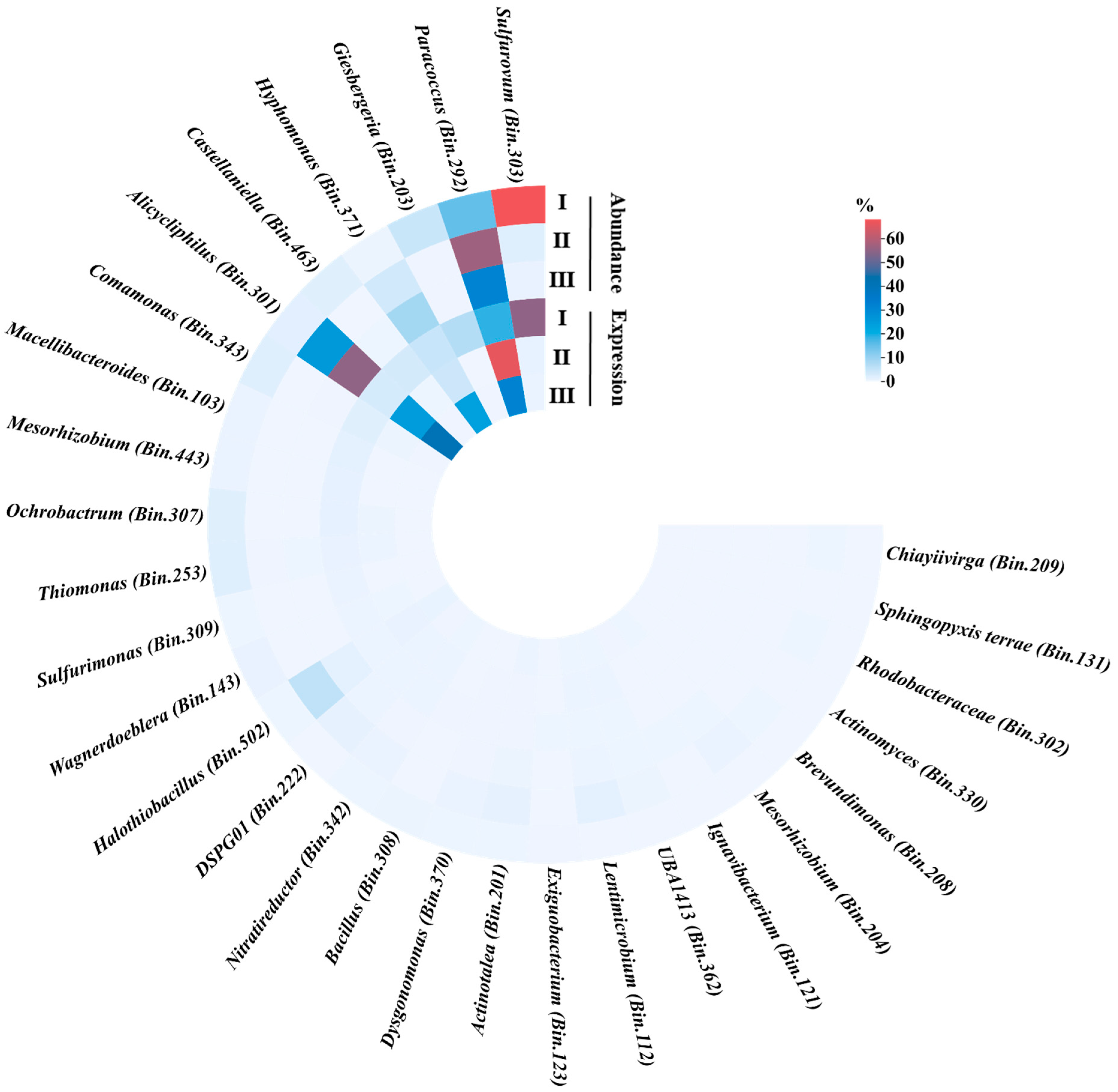 バッチ zez43264_0.jpg