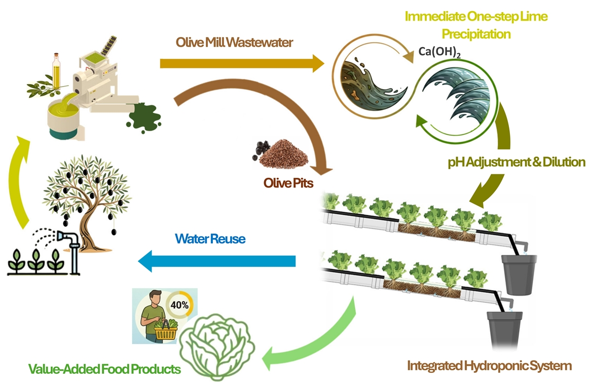 Valorization of Treated Olive Mill Wastewater and Olive Pits in ...