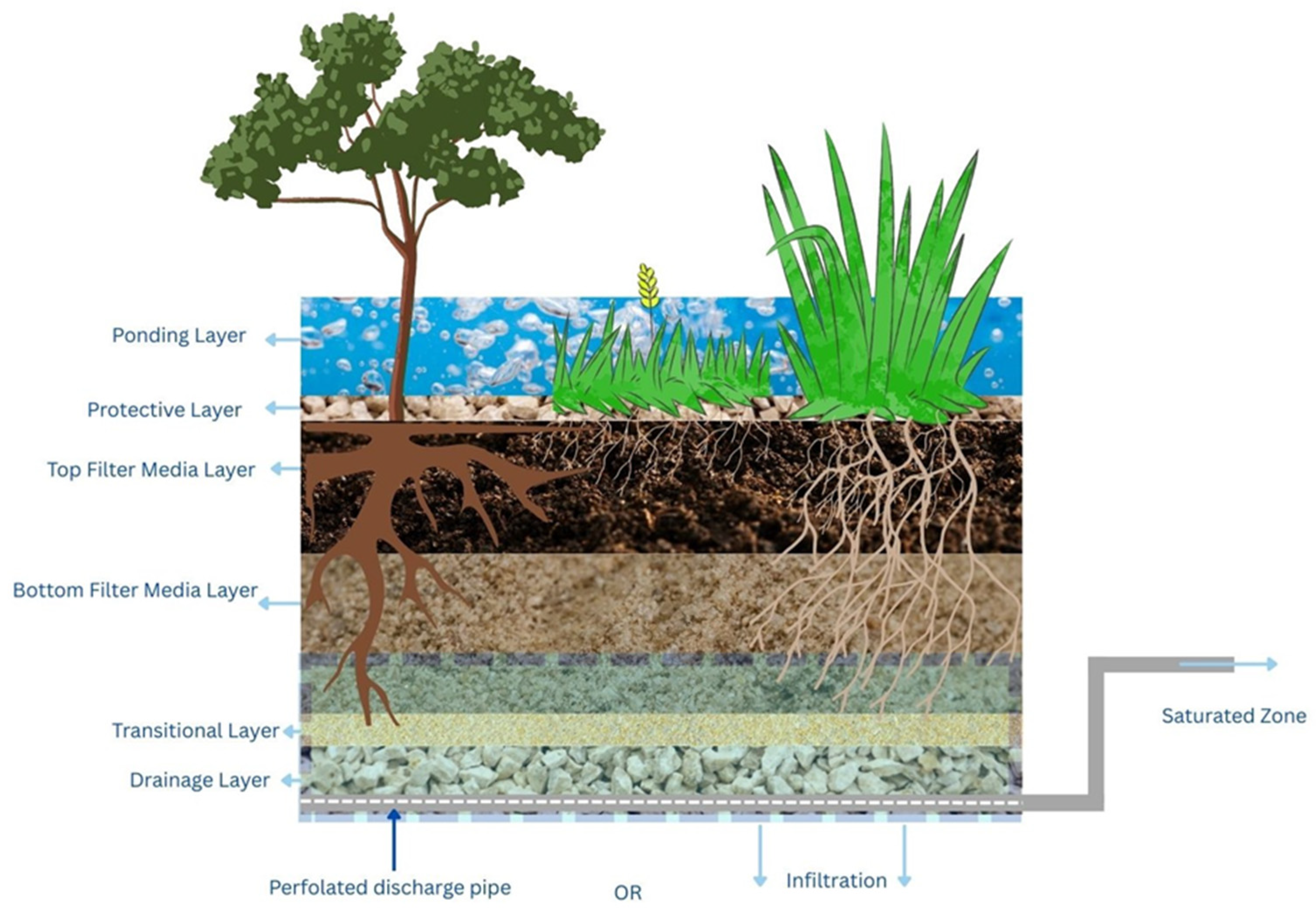 Evaluating Pollutant Removal Performance of Biofiltration Systems for ...