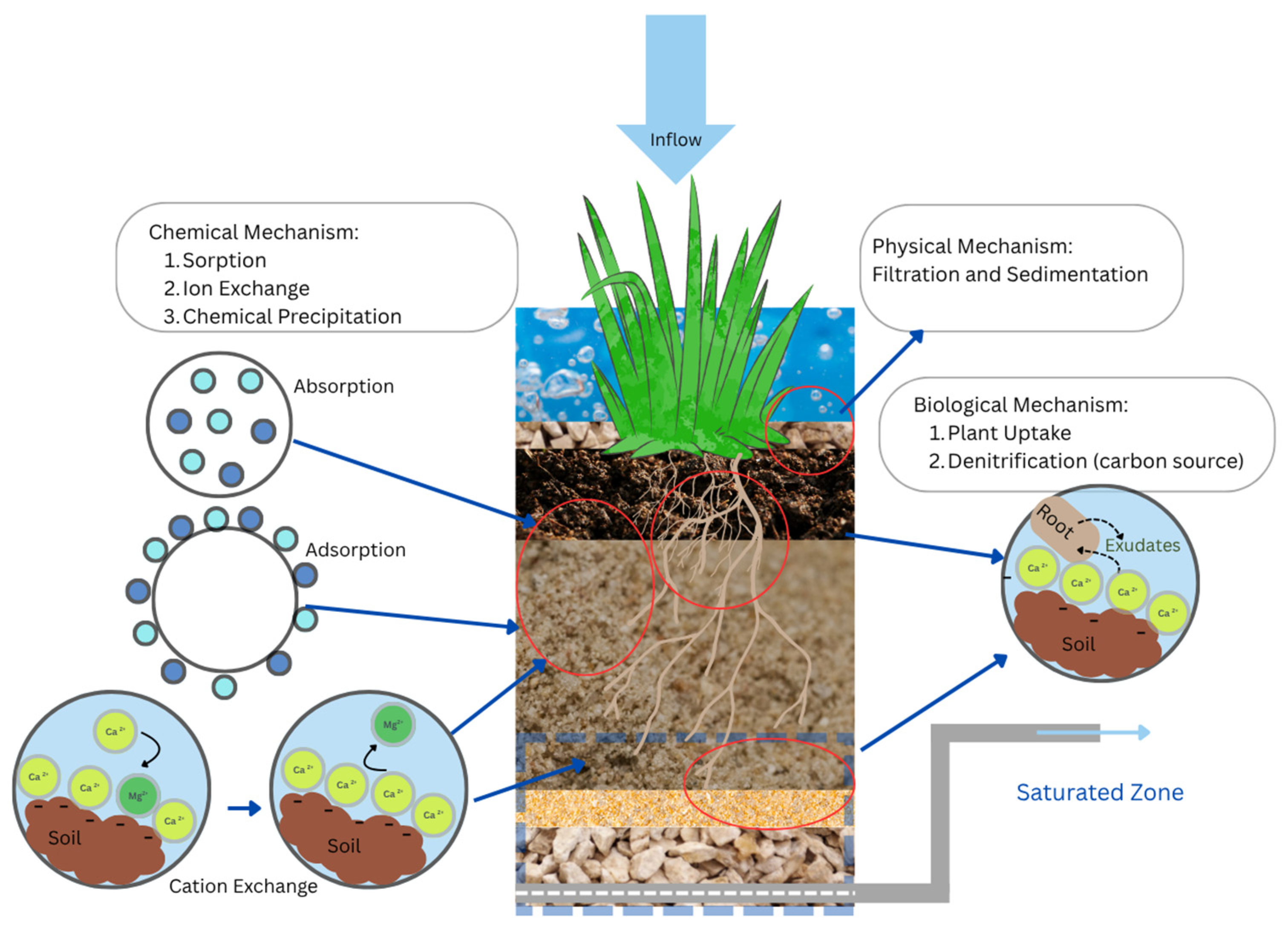 Evaluating Pollutant Removal Performance of Biofiltration Systems for ...
