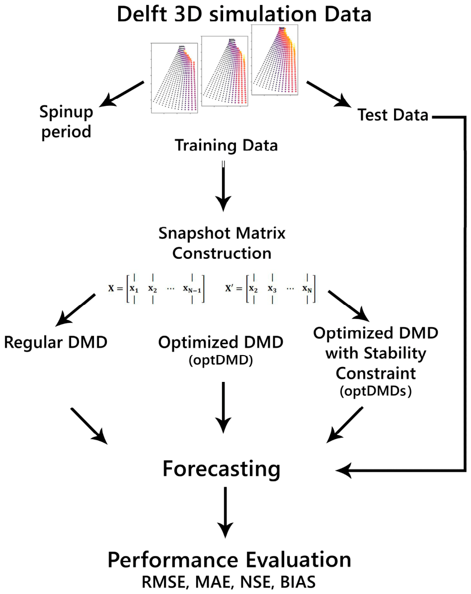 Dynamic Mode Decomposition for Forecasting Flood-Driven Sedimentation ...