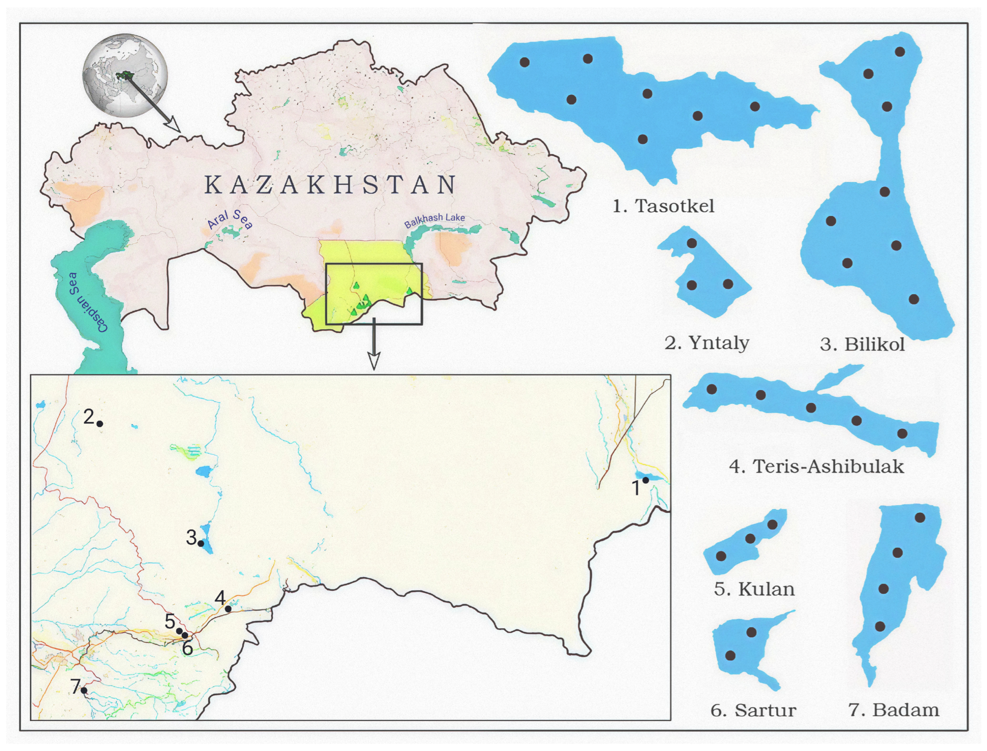 Zooplankton Community Structure in Water Bodies of Southern Kazakhstan ...