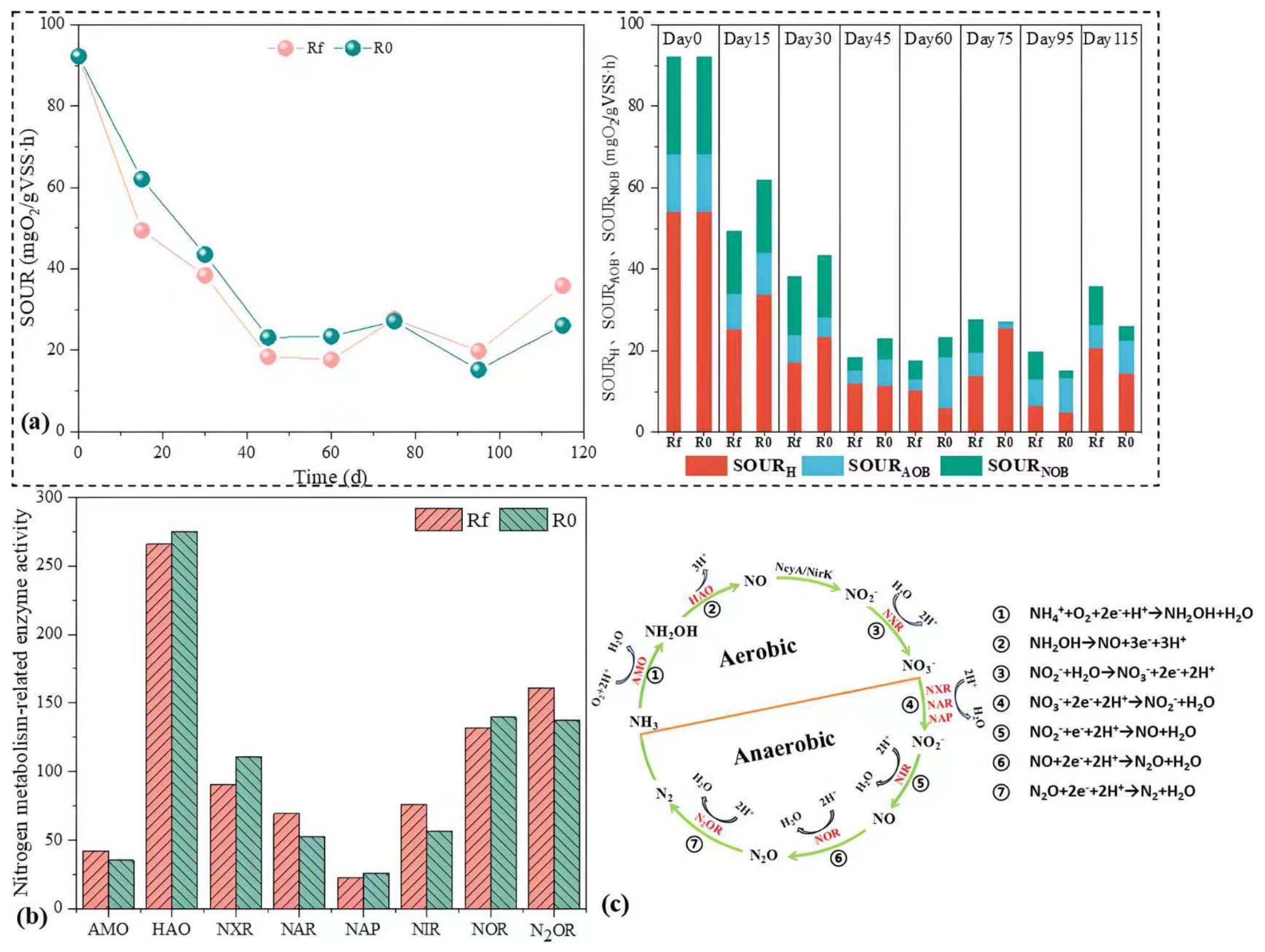 Effects of Iron Shavings Addition on the Performance of AOA-SBR ...